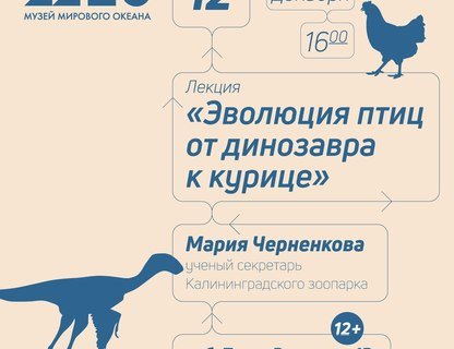 Лекция «Эволюция птиц от динозавров до курицы»