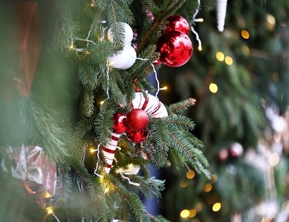 Выставка-ярмарка ремесленников «Сделано в Калининграде»