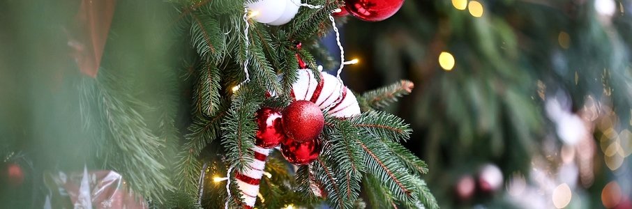 Выставка-ярмарка ремесленников «Сделано в Калининграде»