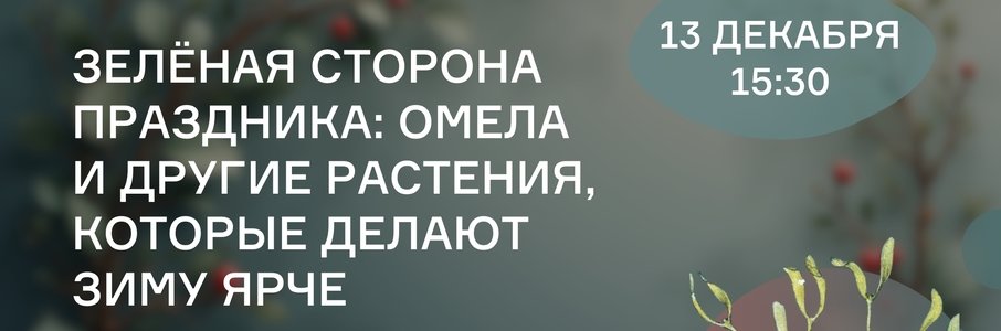 «Зимний экодвор»