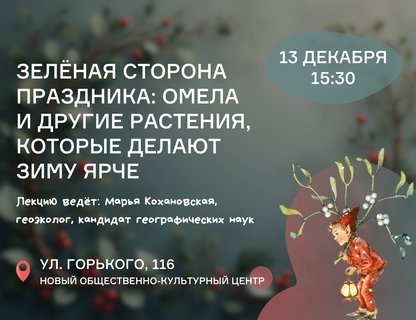 «Зимний экодвор»