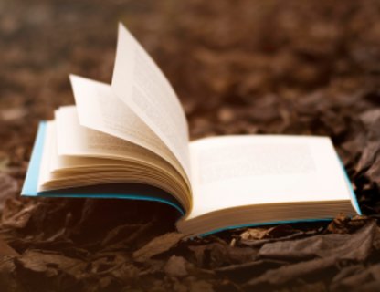 «Роман с моей жизнью»