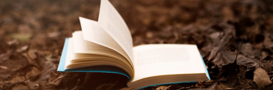 «Роман с моей жизнью»