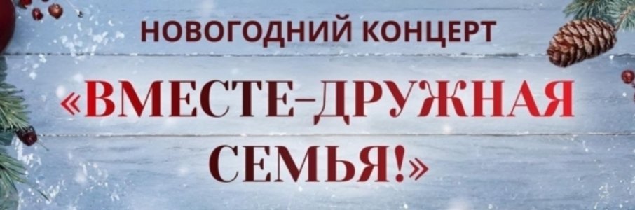 Концерт «Вместе — дружная семья»