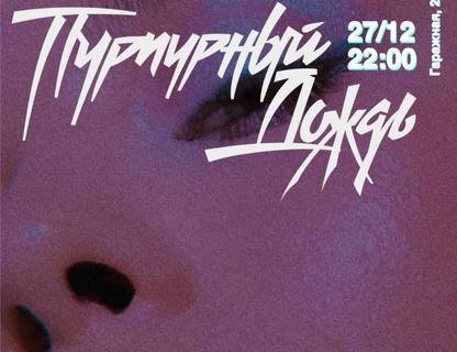 Концерт группы «Пурпурный дождь»