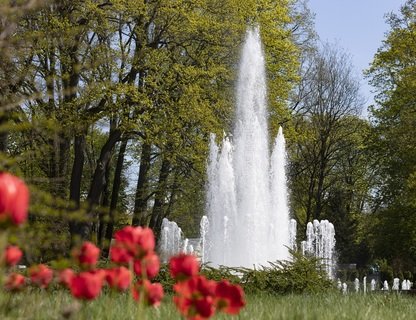 Открытие юбилейного летнего сезона в Калининградском зоопарке