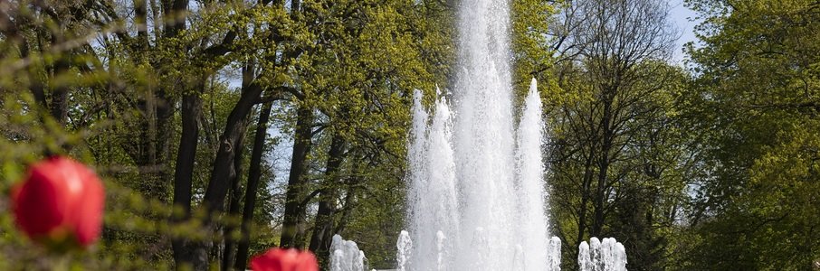 Открытие юбилейного летнего сезона в Калининградском зоопарке