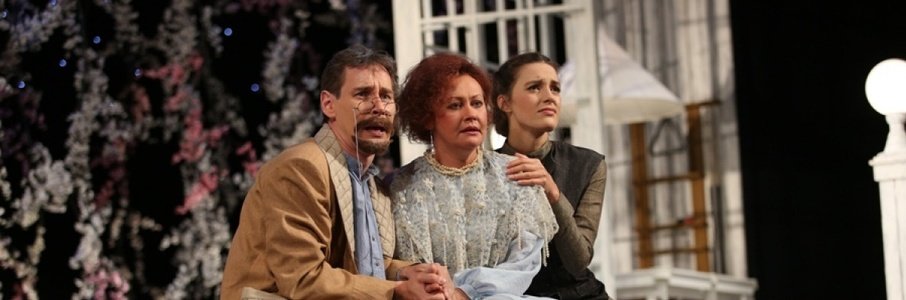 «Вишневый сад»