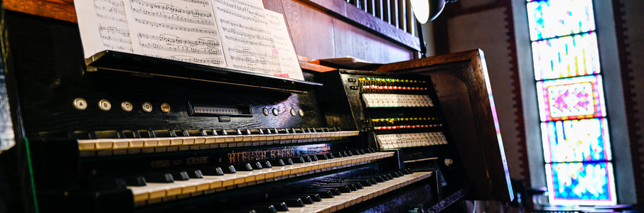 «Экскурсия к органу»