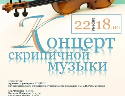 Концерт скрипичной музыки