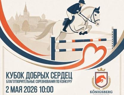 Благотворительный турнир «Кубок добрых сердец по конкуру»