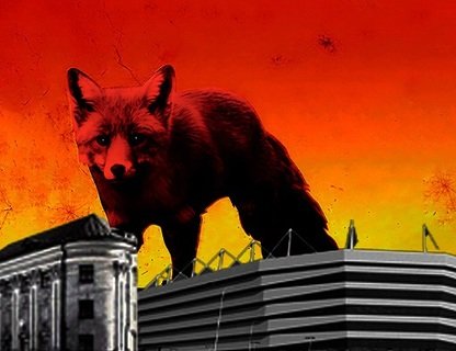 The Prodigy. Фан Фест