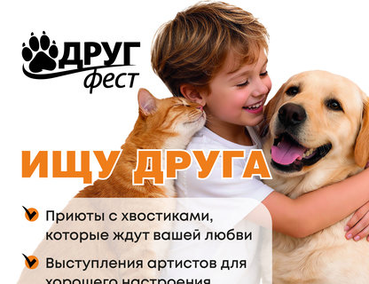 ДРУГФЕСТ