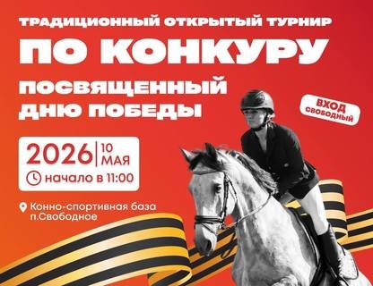Конный турнир 