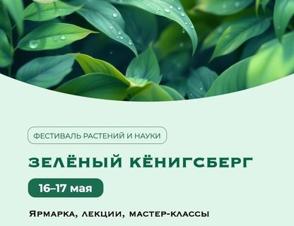 Фестиваль «Зелёный Кёнигсберг»