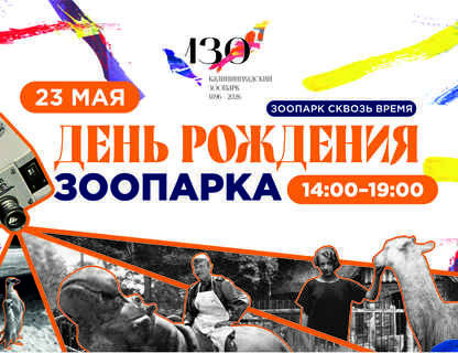 День Рождения Калининградского зоопарка