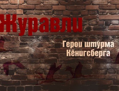 Журавли. Герои штурма Кёнигсберга