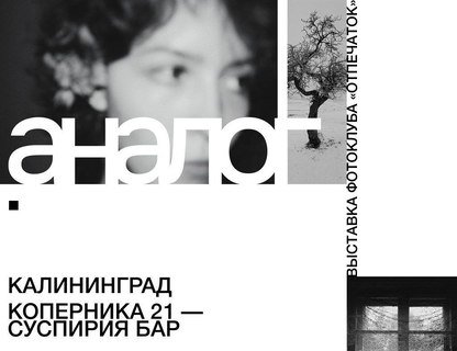 Фестиваль фотографии и музыки «Аналог»