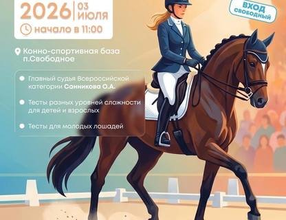 Соревнования по конному спорту