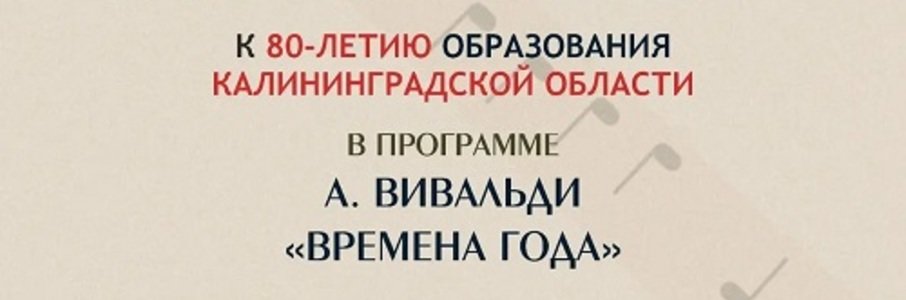 Концерт симфонического оркестра в Романово
