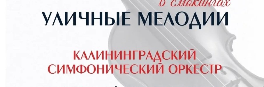 Концерты симфонического оркестра в Пионерском