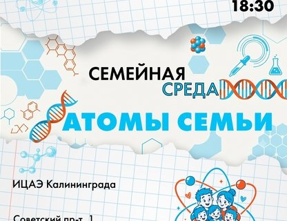 Программа «Семейная среда: Атомы семьи»