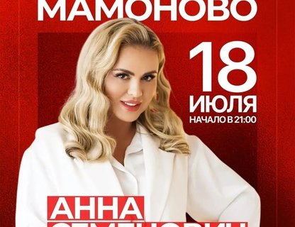 День города Мамоново 