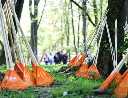 Акции «Хранителей руин»
