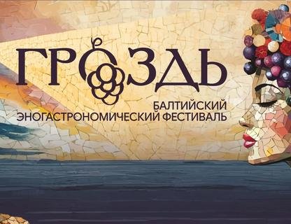 Гастрономический фестиваль «Гроздь»