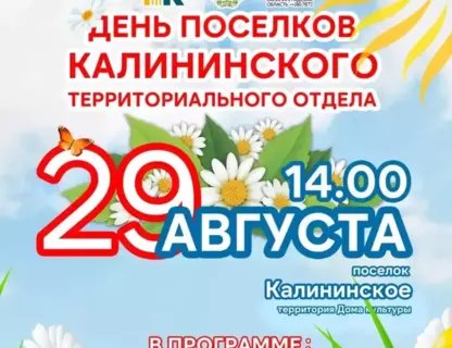 Праздник «День посёлков»