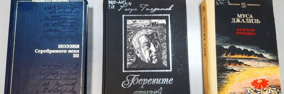 Литературная программа «Поэзия без границ»
