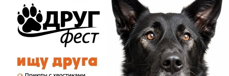 ДРУГФЕСТ