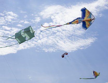 День полётов над Куршской косой