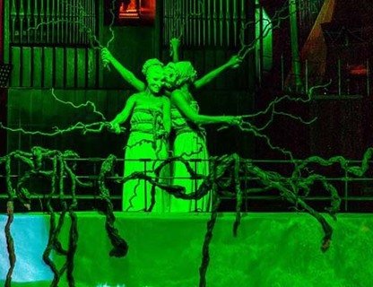 «Голоса земли и воды». Органный перфоманс 