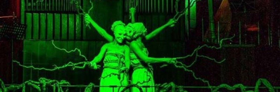 «Голоса земли и воды». Органный перфоманс 