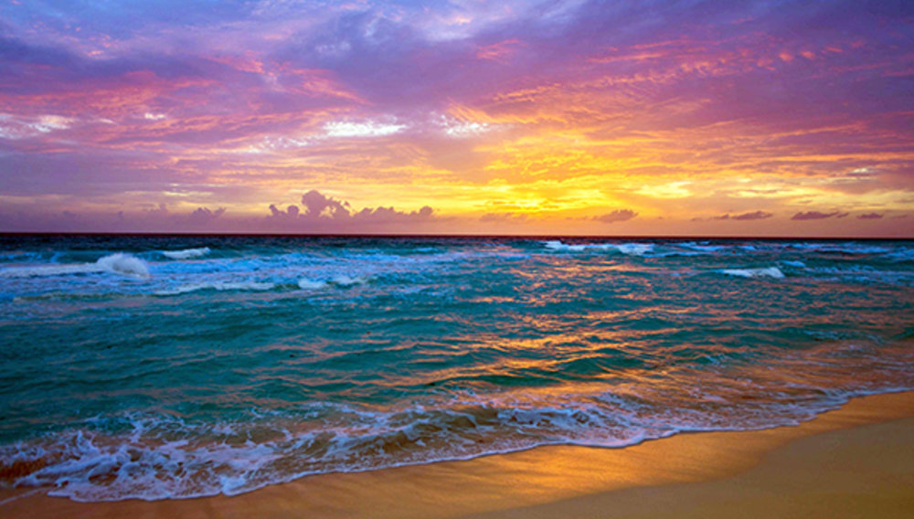 «Мы любовники, море» 