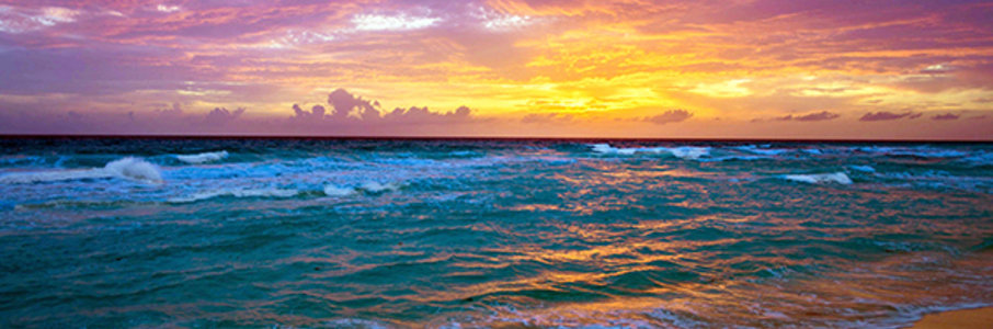 «Мы любовники, море» 