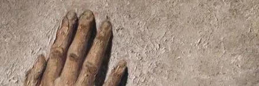 Киновечер «Свидетели»