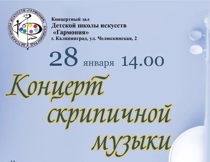 Концерт скрипичной музыки