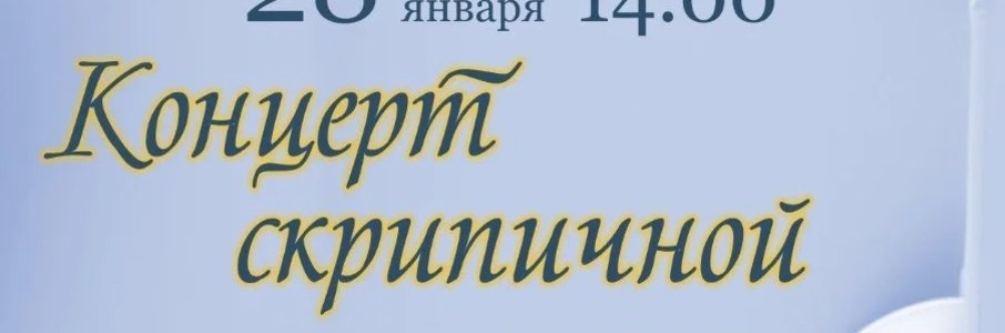 Концерт скрипичной музыки