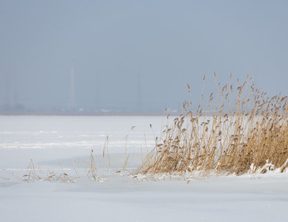 Соревнования по зимней рыбалке
