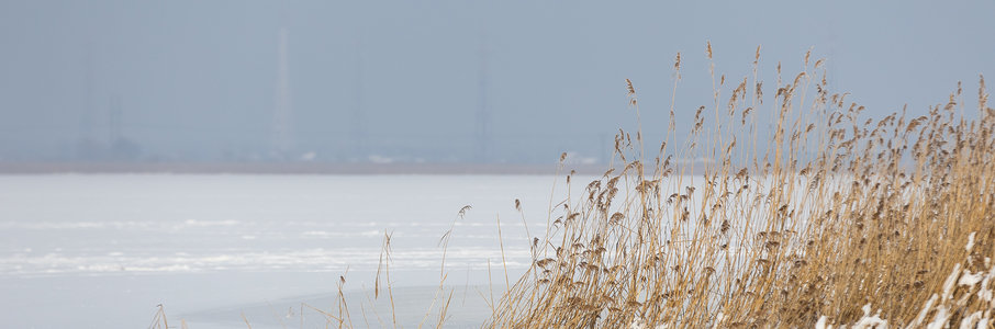 Соревнования по зимней рыбалке