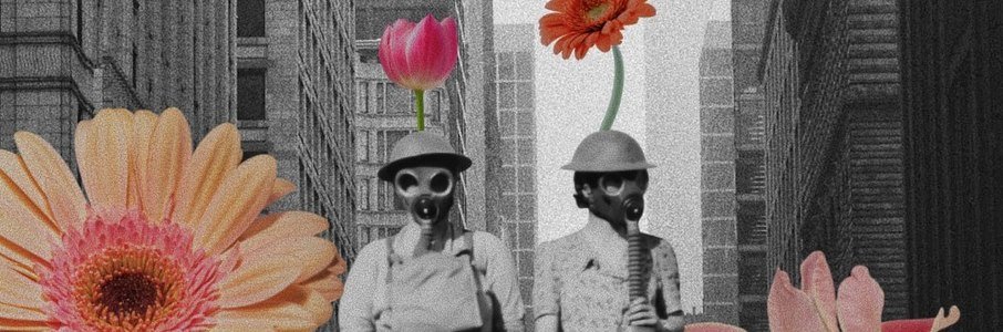 Коллажный мастер-класс с живыми цветами