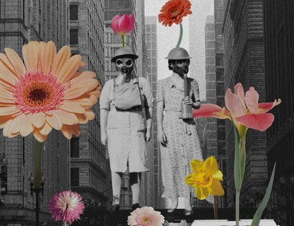 Коллажный мастер-класс с живыми цветами