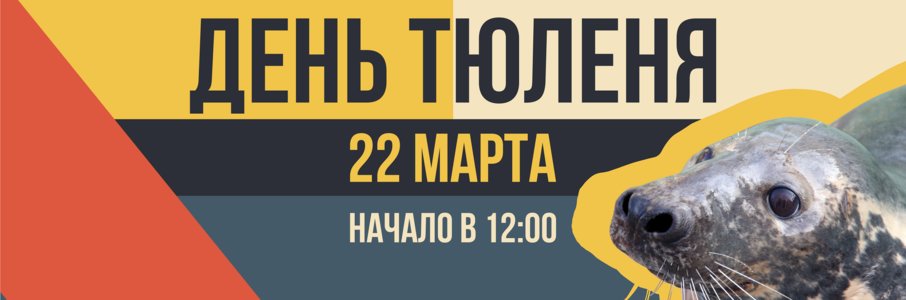 День тюленя