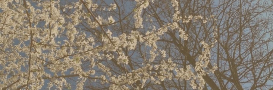 Презентация литературного журнала «АВАНДРАГ»