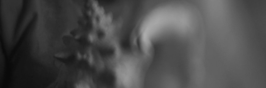 Видеоинсталляция «Доля огня. Хор»