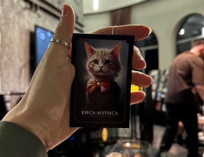 Котомафия на Башне