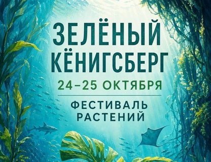 Фестиваль «Зелёный Кёнигсберг»