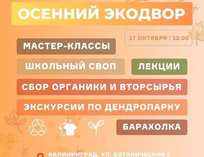«Осенний Экодвор»